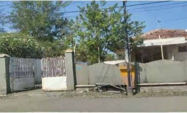 Dijual Tanah Beserta Bangunan Pinggir Jalan Semeru Mimbaan, Panji, Situbondo Jawa Timur