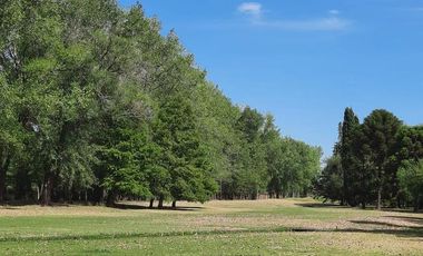 Casa - Indio Cua Golf Club