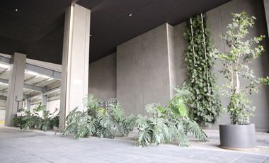 Oficinas en renta para corporativo en lomas de Angelopolis
