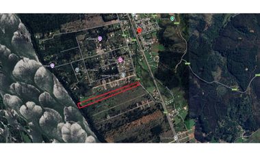 SE VENDE TERRENO 11.5 HA, UNIHUE, HUALQUI.