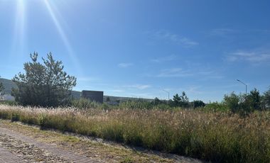 VENTA DE TERRENO EN VALLE DE LOS REYES EXCELENTE UBICACION