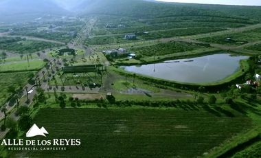 VENTA DE TERRENO EN VALLE DE LOS REYES EXCELENTE UBICACION
