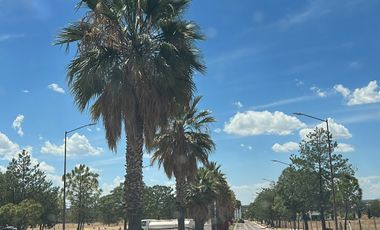 VENTA DE TERRENO EN VALLE DE LOS REYES EXCELENTE UBICACION