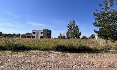 VENTA DE TERRENO EN VALLE DE LOS REYES EXCELENTE UBICACION