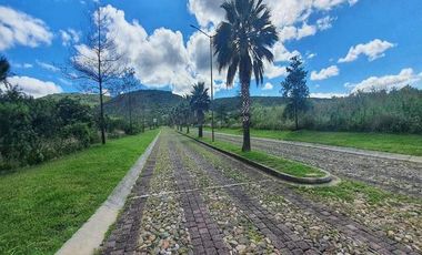 VENTA DE TERRENO EN VALLE DE LOS REYES EXCELENTE UBICACION