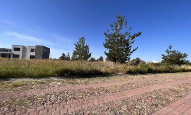 VENTA DE TERRENO EN VALLE DE LOS REYES EXCELENTE UBICACION