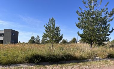 VENTA DE TERRENO EN VALLE DE LOS REYES EXCELENTE UBICACION