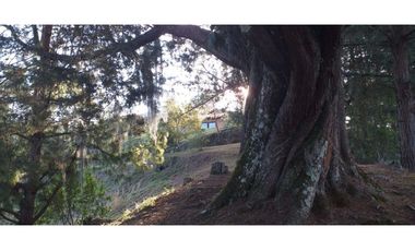 Finca para la venta, Vereda La Convención, Rionegro, sector Aerop JMC