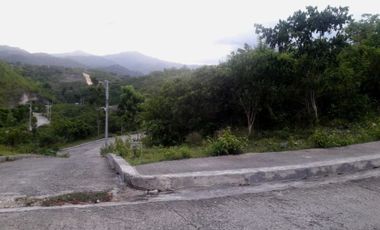 Affordable 266 Sqm Overlooking Lot for Sale in Consolacion Cebu with Mountain View