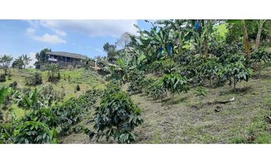 Excelente Finca Productiva para la venta Santa Rosa de Cabal Risaralda