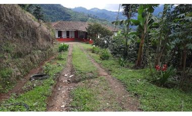 Excelente Finca Productiva para la venta Santa Rosa de Cabal Risaralda