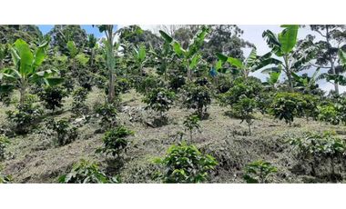 Excelente Finca Productiva para la venta Santa Rosa de Cabal Risaralda