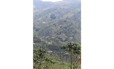 Excelente Finca Productiva para la venta Santa Rosa de Cabal Risaralda