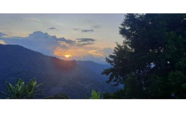 Excelente Finca Productiva para la venta Santa Rosa de Cabal Risaralda