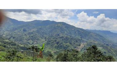 Excelente Finca Productiva para la venta Santa Rosa de Cabal Risaralda