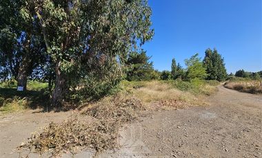 Sitio en Venta en Sector El Avellano