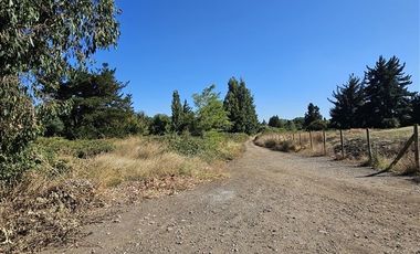 Sitio en Venta en Sector El Avellano