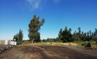 Sitio en Venta en Sector El Avellano