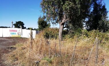 Sitio en Venta en Sector El Avellano