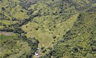 Se Vende Finca de 253 Ha. en Chepo (H)