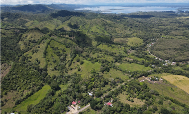 Se Vende Finca de 253 Ha. en Chepo (H)