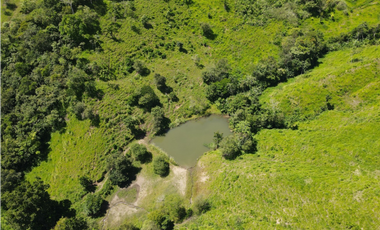 Se Vende Finca de 253 Ha. en Chepo (H)
