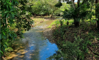 Se Vende Finca de 253 Ha. en Chepo (H)