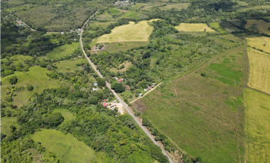 Se Vende Finca de 253 Ha. en Chepo (H)