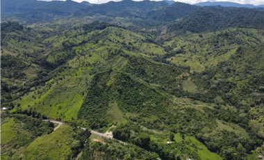 Se Vende Finca de 253 Ha. en Chepo (H)