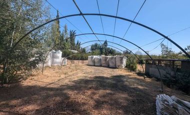 Parcela de agrado con Casa y Plantacion de Almendros