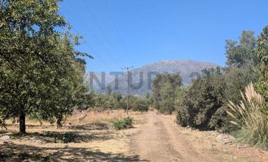 Parcela de agrado con Casa y Plantacion de Almendros