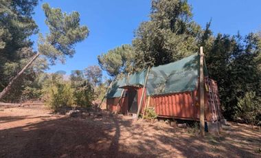 Parcela de agrado con Casa y Plantacion de Almendros