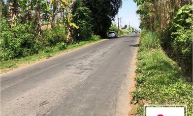 Tanah Poros Jalan Luas 5.939 di Tlogowaru Buring kota Malang