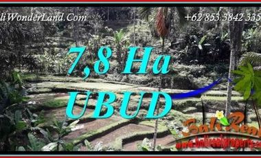 View sawah, tebing dan sungai 78,000 m2 di Ubud Payangan