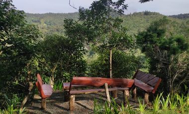 finca en venta en dapa. Cod V4961