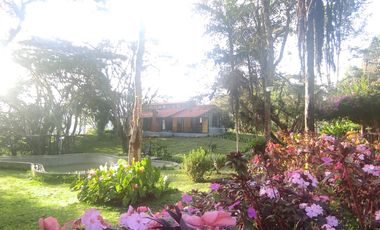 finca en venta en dapa. Cod V4961