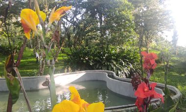 finca en venta en dapa. Cod V4961