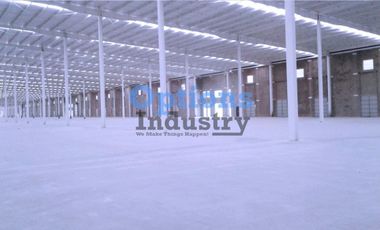 Rent now warehouse in Toluca