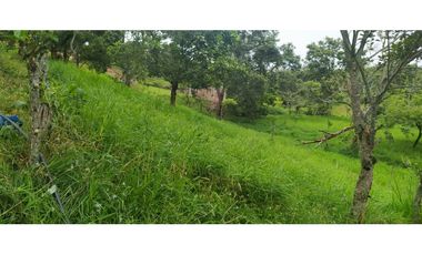VENTA FINCA VENECIA, SUROESTE ANTIOQUEÑO