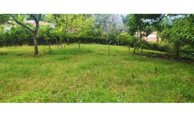VENTA FINCA VENECIA, SUROESTE ANTIOQUEÑO