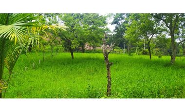 VENTA FINCA VENECIA, SUROESTE ANTIOQUEÑO