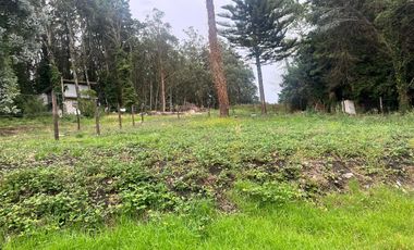Venta Permuta Lote Sierra de los Padres sobre circuito