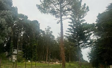 Venta Permuta Lote Sierra de los Padres sobre circuito