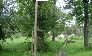 Dos Lotes Terrenos en venta B Villa Vengochea Gral Rodriguez Piccardo.