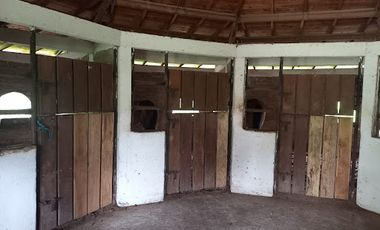 VENTA de FINCAS en PEREIRA