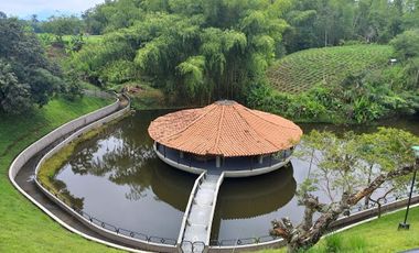 VENTA de FINCAS en PEREIRA