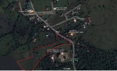 22.8 Hectares of Vacant Land in Ligao City, Albay