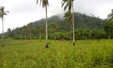 22.8 Hectares of Vacant Land in Ligao City, Albay