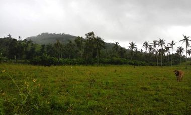 22.8 Hectares of Vacant Land in Ligao City, Albay