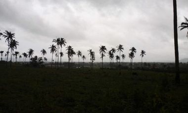 22.8 Hectares of Vacant Land in Ligao City, Albay